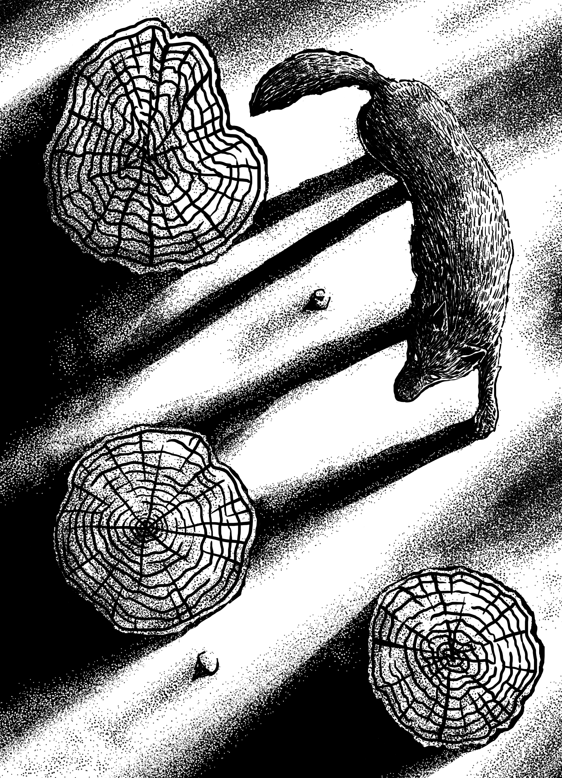 Nosotros Interiores de Cuentos en el Caldero, libro de relatos fantásticos y oscuros publicado por nuestra editorial independiente, acompañado de ilustraciones y edición cuidada.